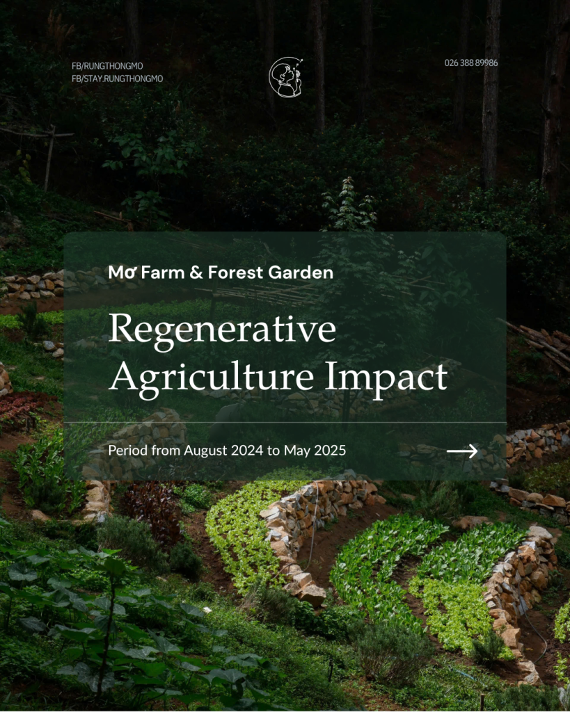 Regenerative Agriculture Impact at Rừng Thông Mơ