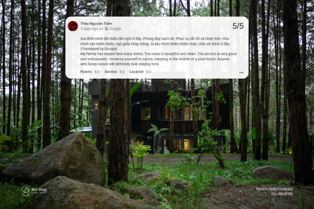Mơ Stay Forest Resort