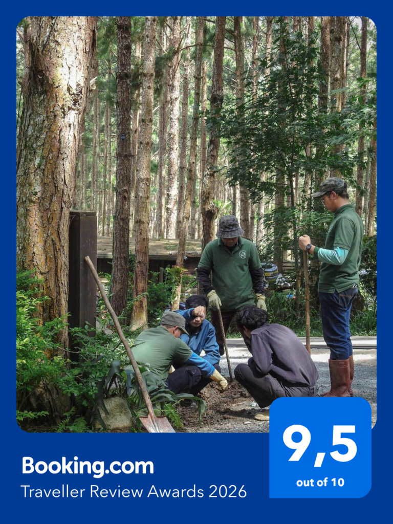 Checking the pipeline 